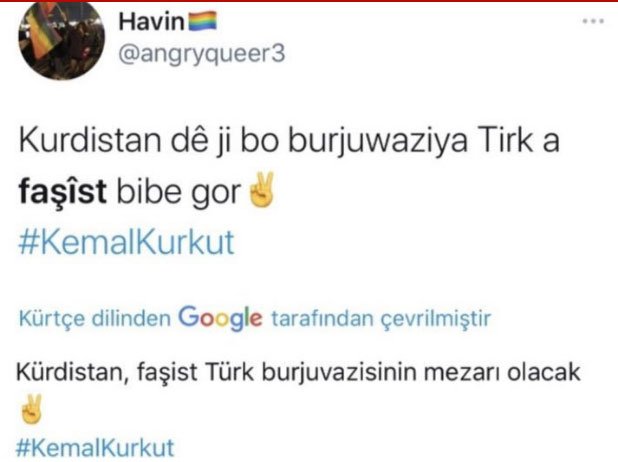 1610117469-45ee13 Havin Özcan kimdir? Twitter Havin kim? | Havin Fırat Çakıroğlu paylaşımı