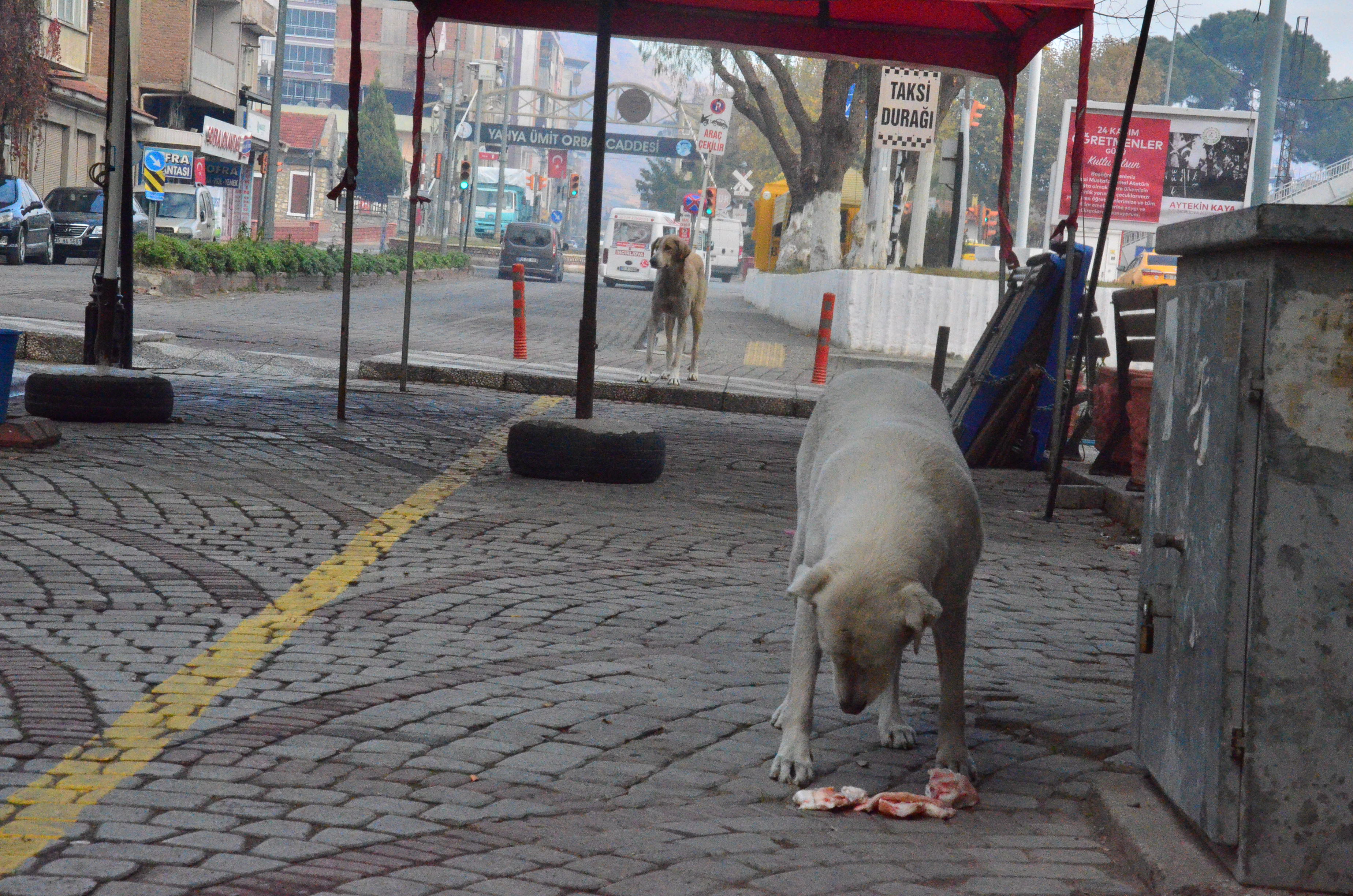 20201205-2-45702294-60343986-002 Tam kapanmada taksiler çalışacak mı? | 29 Nisan-17 Mayıs yasağında taksiler çalışıyor mu?