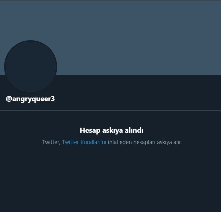 ekran-goruntusu-2021-01-08-195442 Havin Özcan kimdir? Twitter Havin kim? | Havin Fırat Çakıroğlu paylaşımı