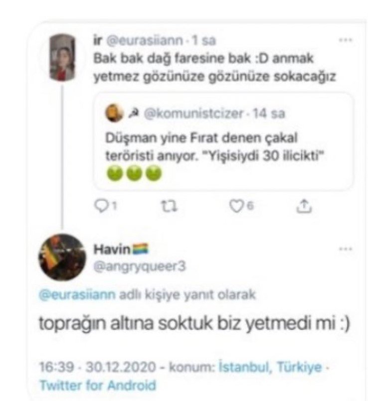 ekran-goruntusu-2021-01-08-200538 Havin Özcan kimdir? Twitter Havin kim? | Havin Fırat Çakıroğlu paylaşımı