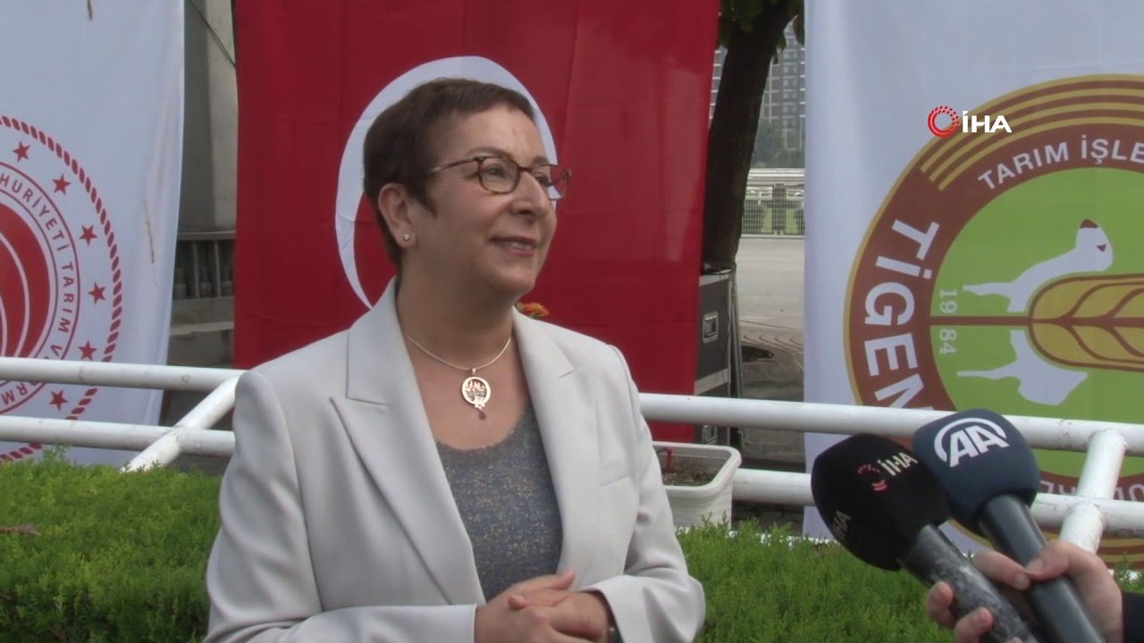 maxresdefault-1-6 Ayşe Ayşin Işıkgece kimdir? Kaç yaşında? Nereli?