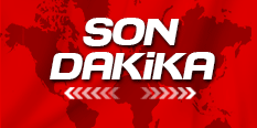 1-2 Eski HDP'li vekilin terörist oğlu Yoldaş Selim Çelik sağ olarak yakalandı