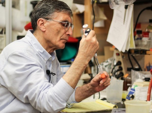 aziz-sancar Aziz Sancar kimdir? Aslen nerelidir, Kaç yaşındadır? İşte Aziz Sancar'ın hayatı!