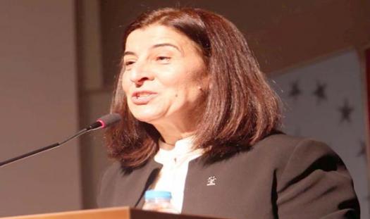 Fatma Aksal kimdir, nerelidir, kaç yaşındadır? Edirne AK Parti Milletvekili