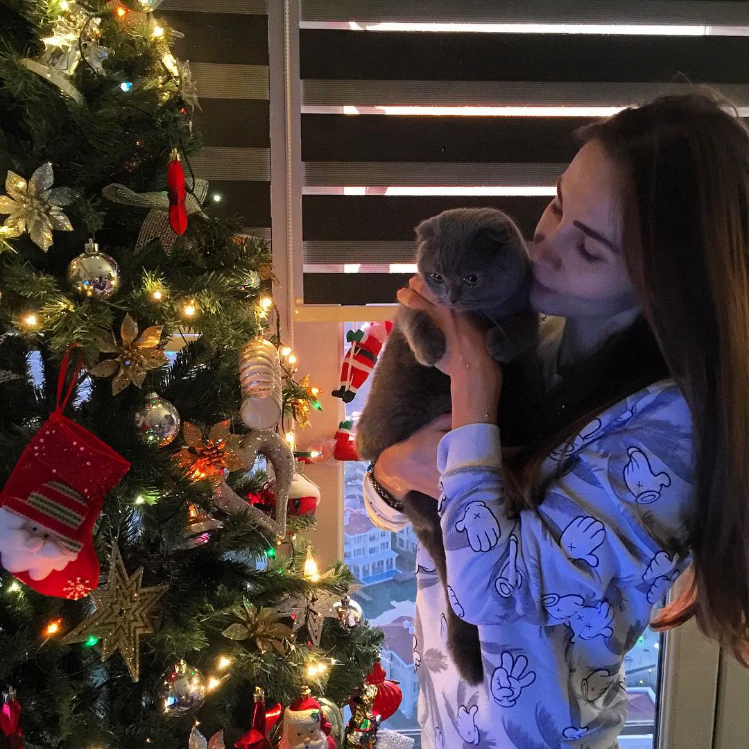 scottish-fold-yasemin-hadivent-elit-referans-2 Yasemin Hadivent kimdir? Kaç yaşında? Nereli?