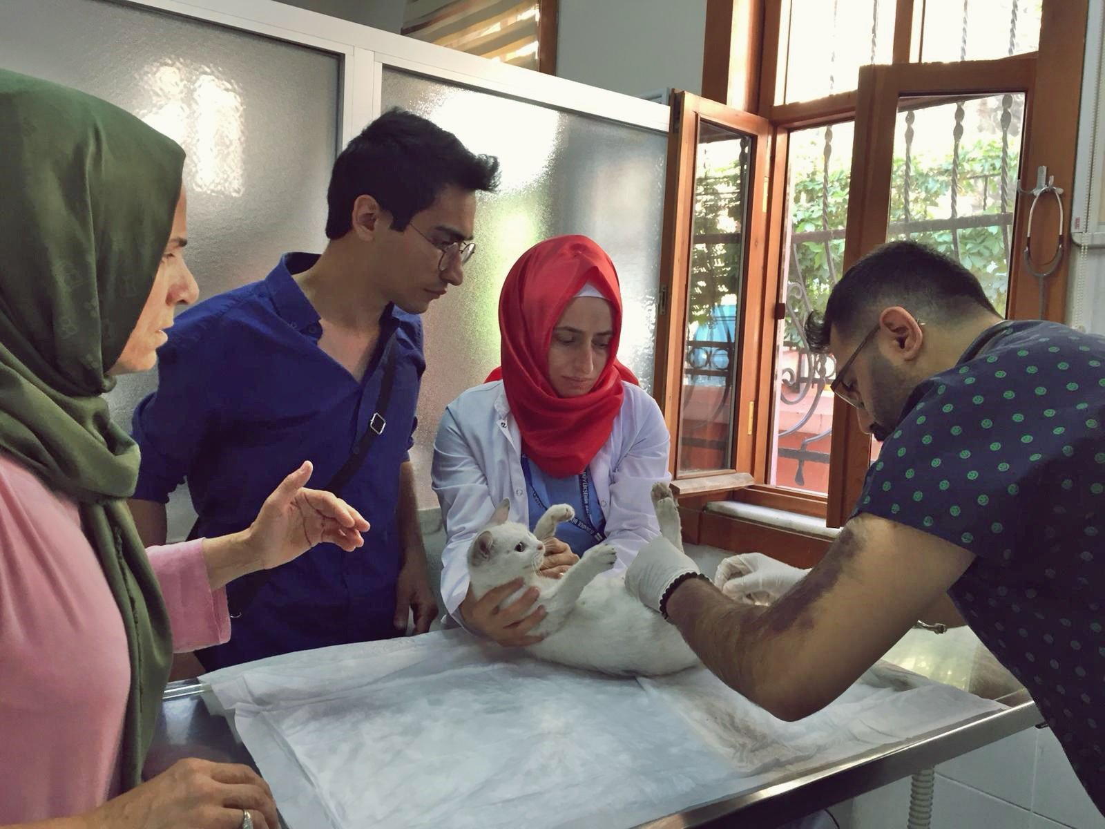 Mehmet Berk Ergin kimdir? Aslen nereli ve kaç yaşında?