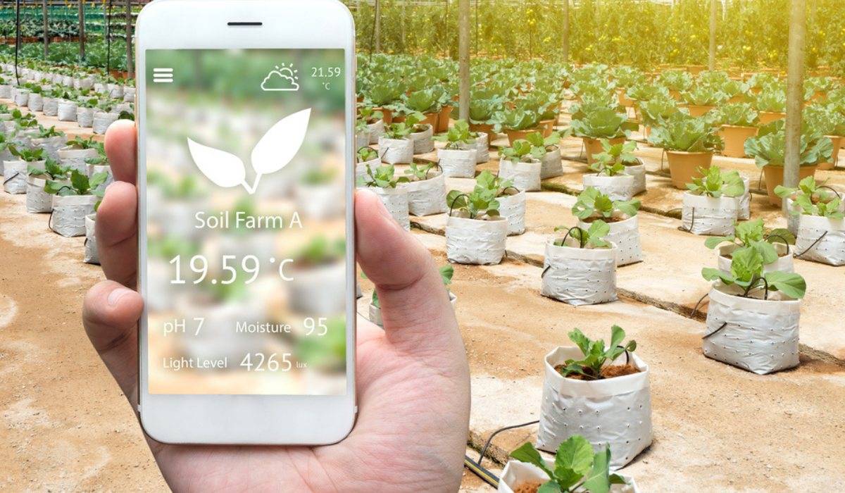 Smart Garden and Outdoor Technologies 10 Benefits